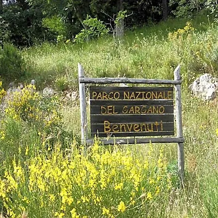 Vittoria San Giovanni Rotondo