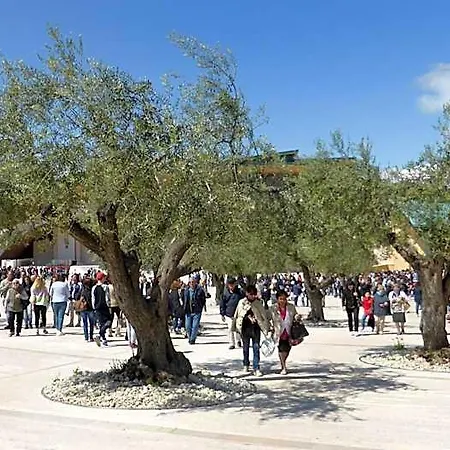 Vittoria